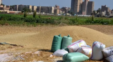 أسعار الأرز والشعير تنخفض اليوم الخميس 27 11 2025 بسبب تراجع الطلب في السوق السعودي